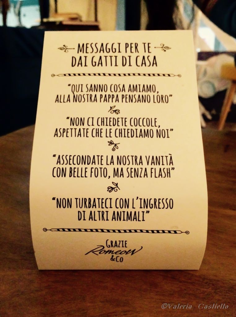 romeow-romeow