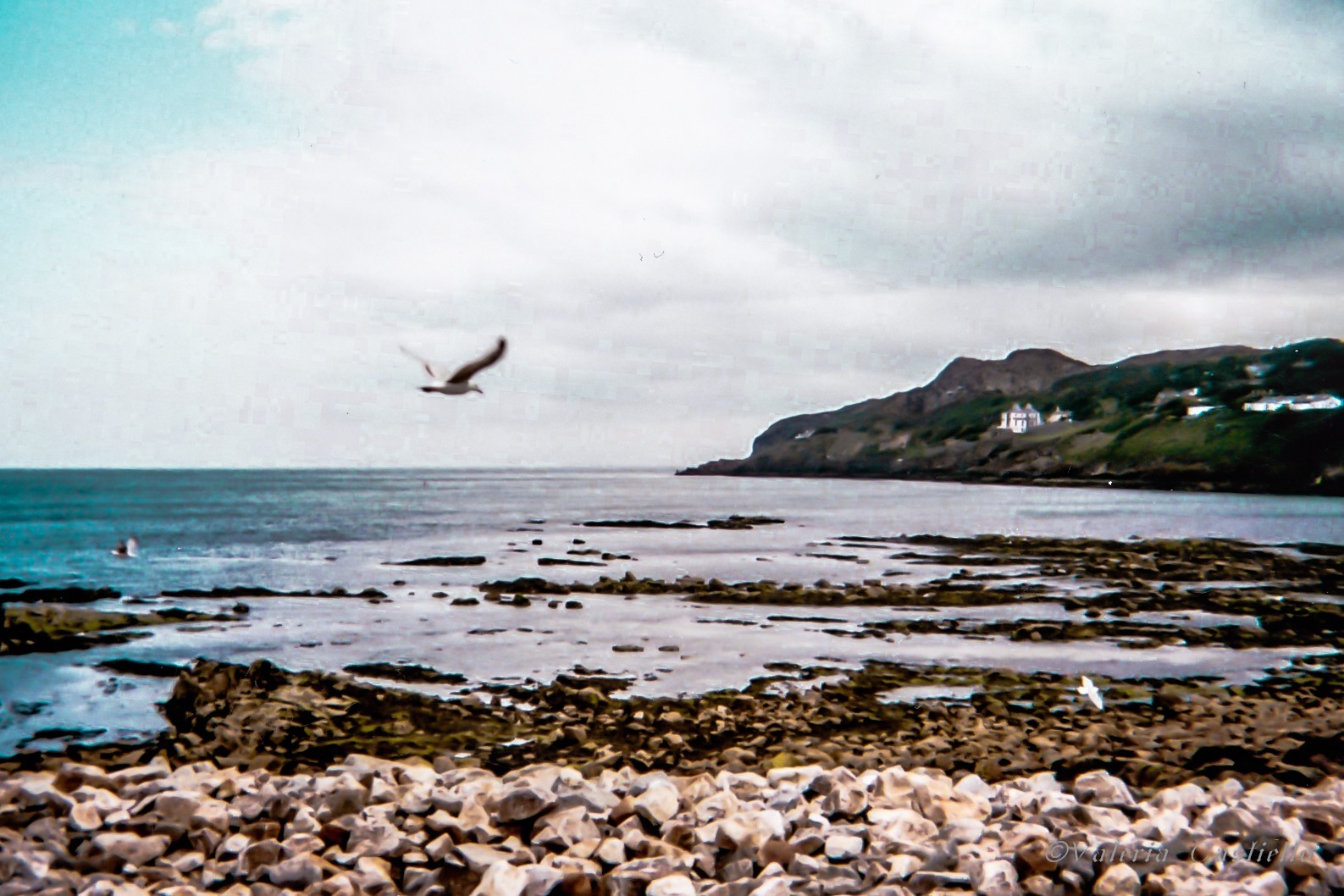 Howth, Irlanda (foto scattata con una macchinetta kodak usa e getta)