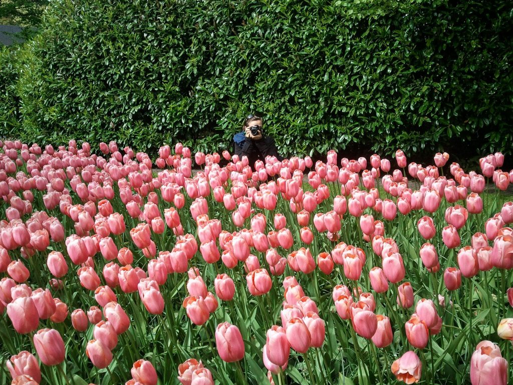 Olanda in primavera