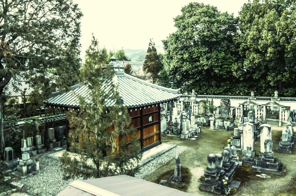 Templi buddisti a Kyoto: meditazione zen allo Shunkoin - Valeria Castiello