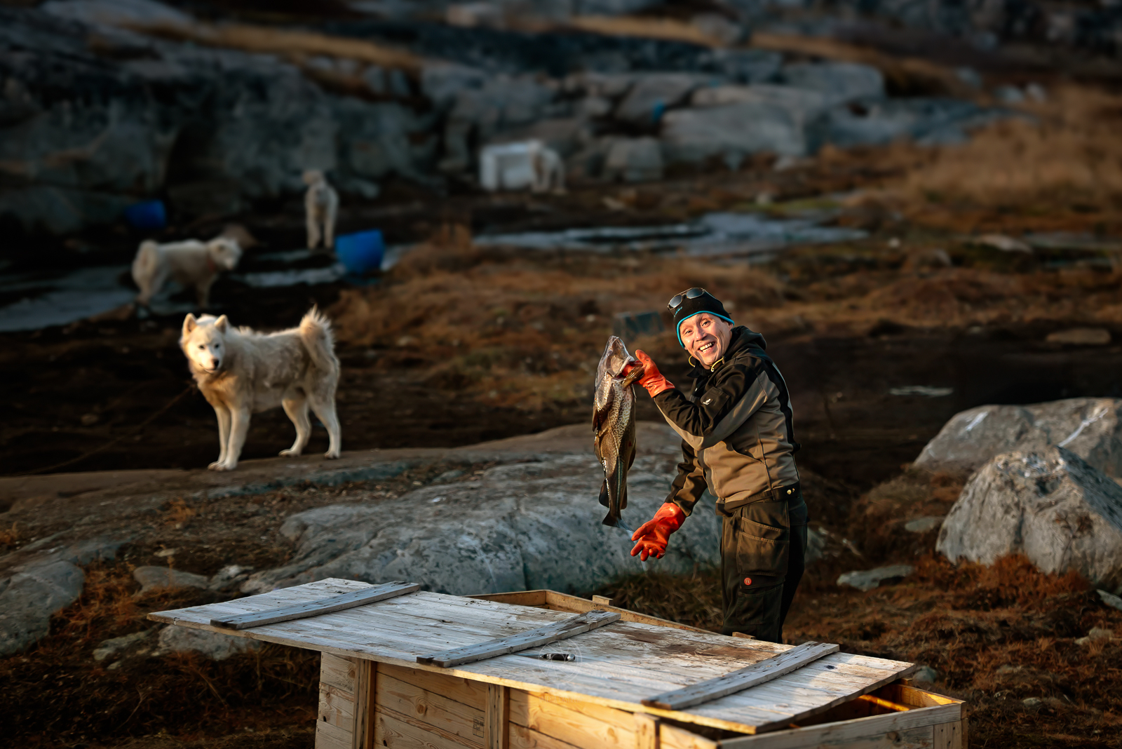  Viaggio in Groenlandia fai da te_Baia di Disko_Qeqertarsuaq