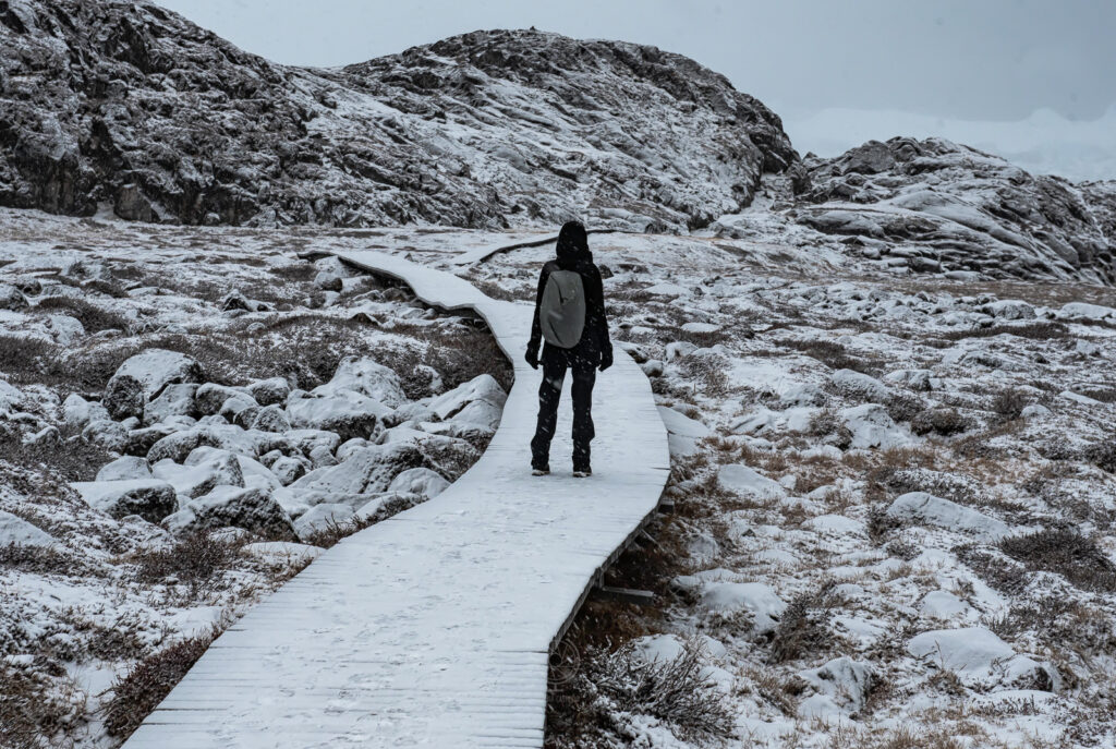 Viaggio in Groenlandia_Ilulissat_trekking