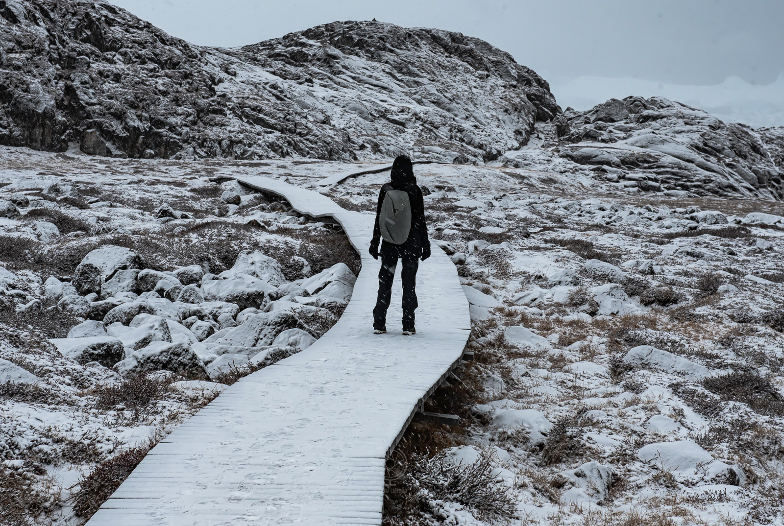 Viaggio in Groenlandia_Ilulissat_trekking