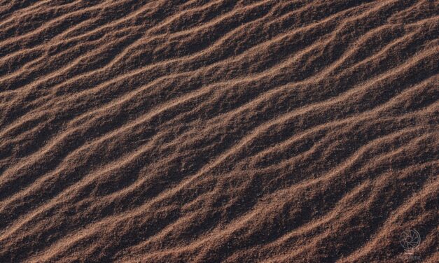 Rimedi per il caldo: i miei 8 oggetti per combatterlo