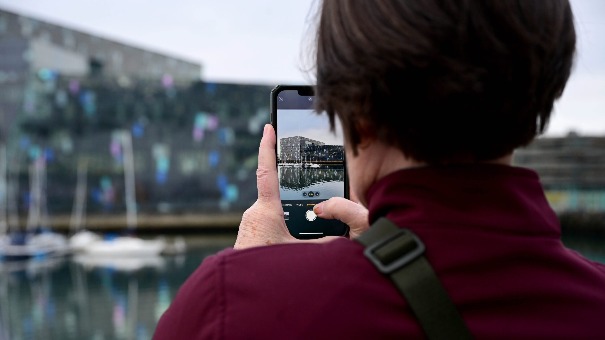 Porto di Reykjavik_Harpa