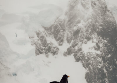 Viaggiare in Antartide_monti