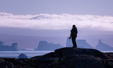 Crociera in Groenlandia Est (Scoresbysund) con Poseidon